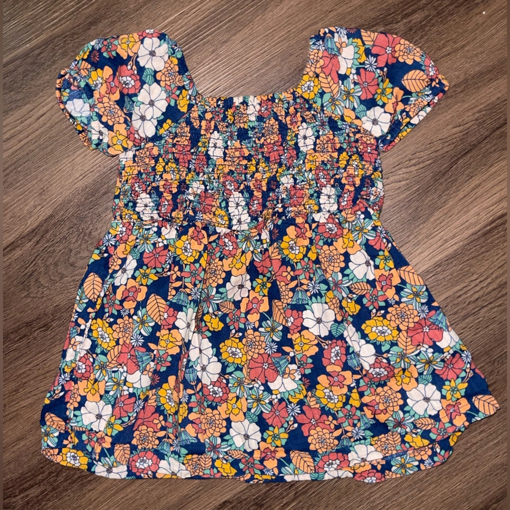Baby Gap Fall Floral Dress (18-24m)